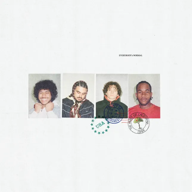 LONG LIVE SWIPER cover artwork for EVERYBODY'S NORMAL