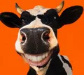 AG  Avatar