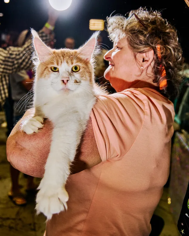 Garden State Cat Expo | Photo Story