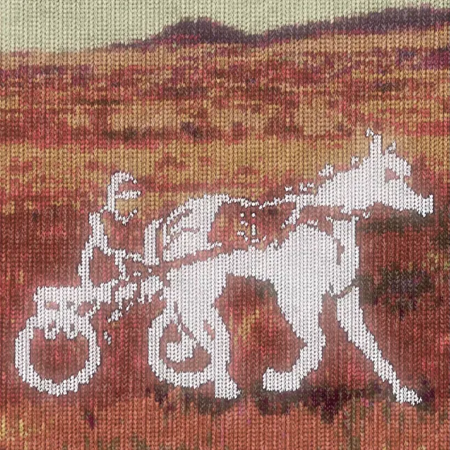 Siegelman Stable Motion