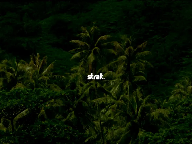 STRAIT the label - SS24