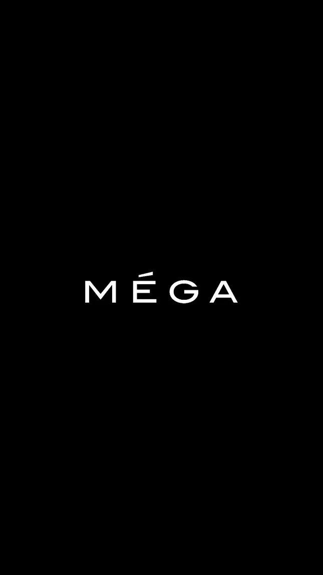 MÉGA Jewelry Stylist’s Favorites