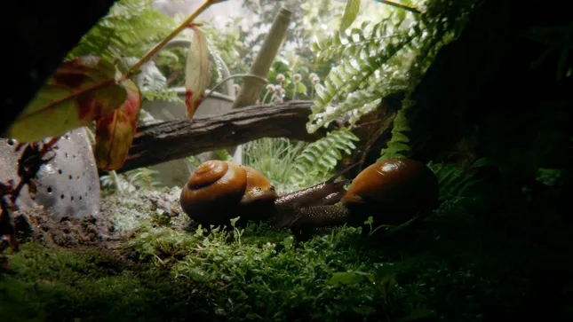 Hornbach - Biodiversity