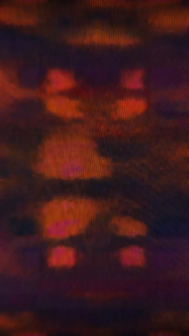 CHRSBRRY: LUVBUG -  SPOTIFY CANVAS VISUALIZERS