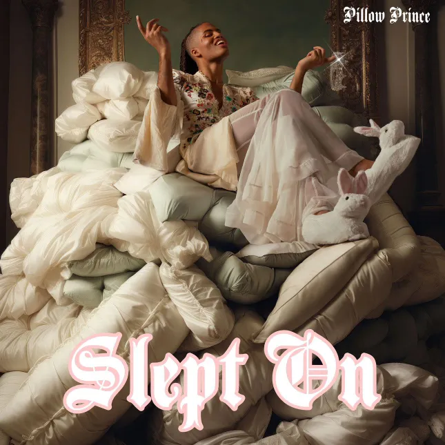 Album Cover - Pillow Prince