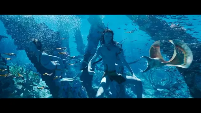 Cinematographer/Camera Op Reel
