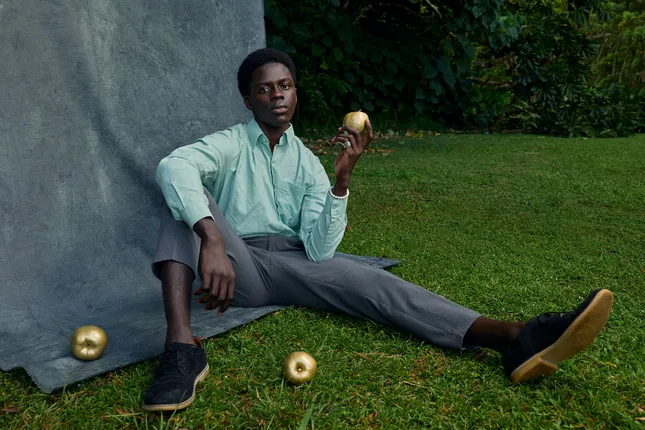 Golden Apples