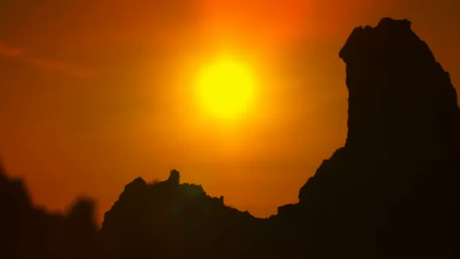 Alexander Allen | Reflections