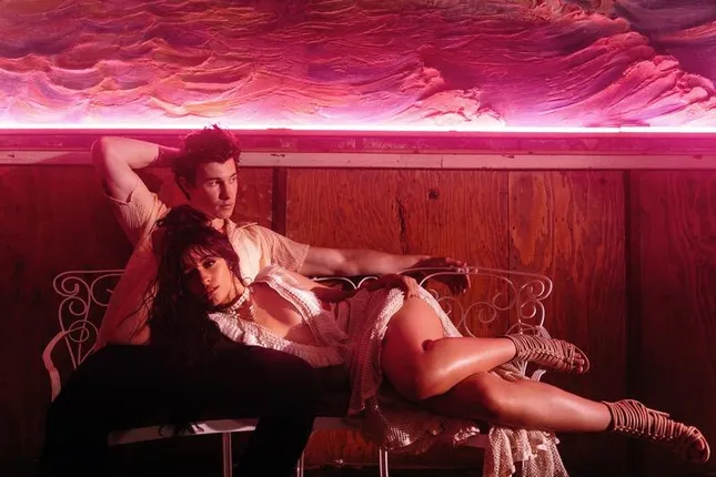 “Señorita” - Shawn Mendes / Camila C