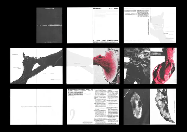 Dripping Stillness – Book Design