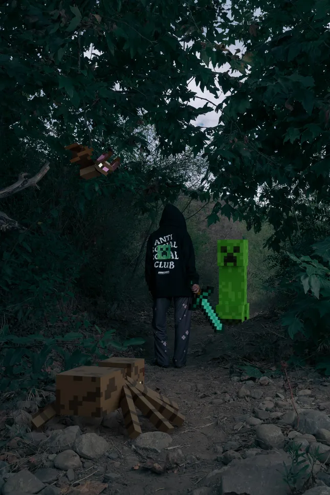 Project image