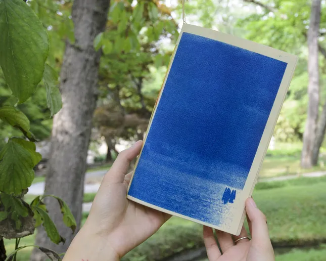 Riso Photo Book