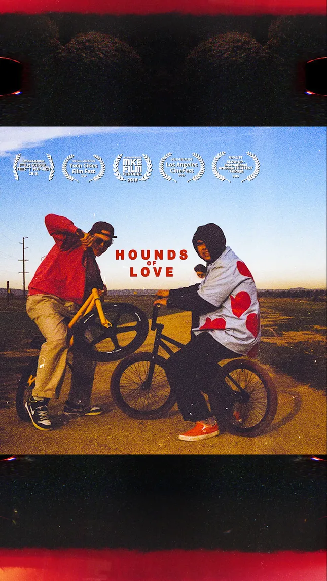 Hounds of Love
