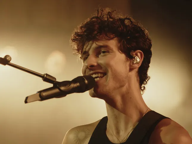 Shawn Mendes Friends & Family Tour Videography