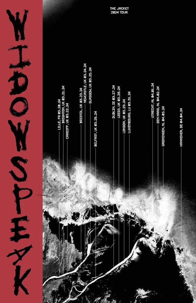 Widowspeak Tour Poster Concepts