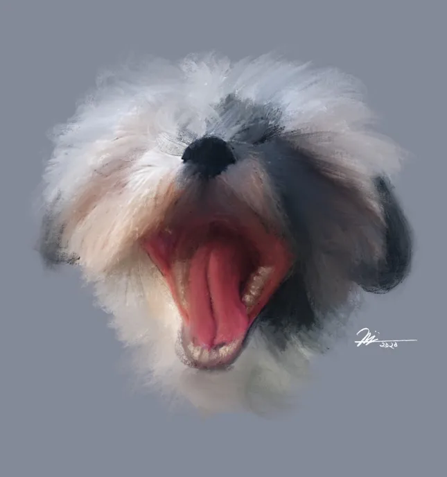 Cartoons & Portraits