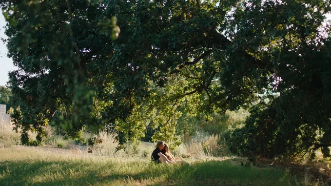 IIBA American Dream 🇺🇸