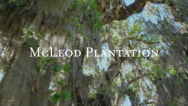 McLeod Plantation