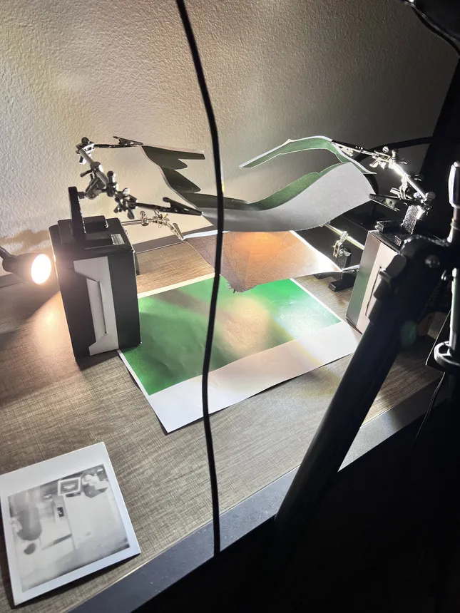Project image
