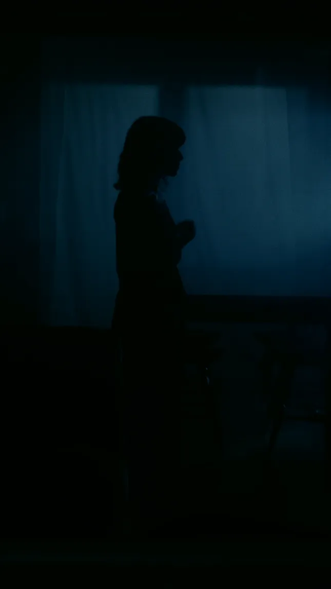 Lover of a Ghost [Visualizers x Spotify Canvases]