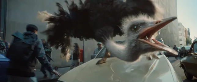 o2 - Ostrich