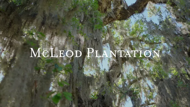 McLeod Plantation