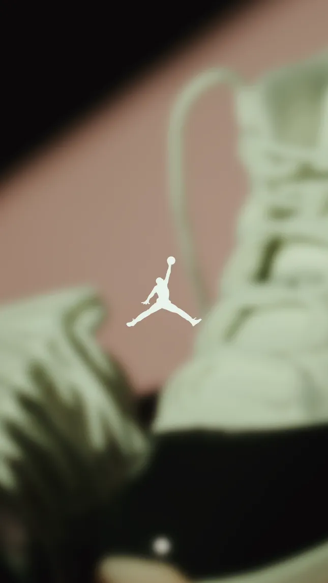 Jordan 11 X Sneaky Leak