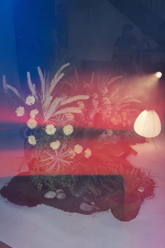 Project image