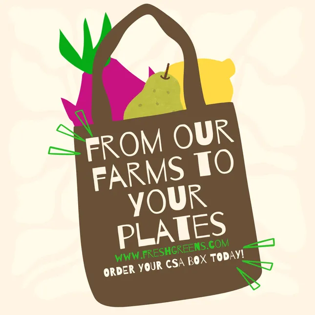 Fresh Green Markets Social Design