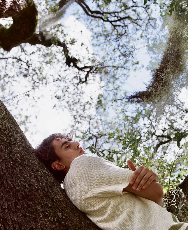 Franco in a forest