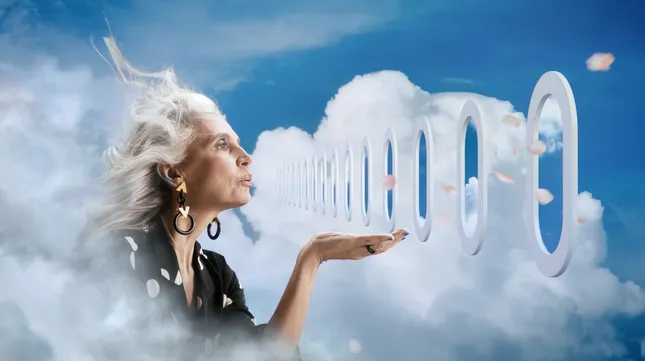 ANA Airlines | An Air of Extraordinary