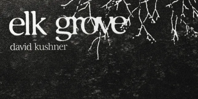 David Kushner 'Elk Grove' Single Cover and Banner Design