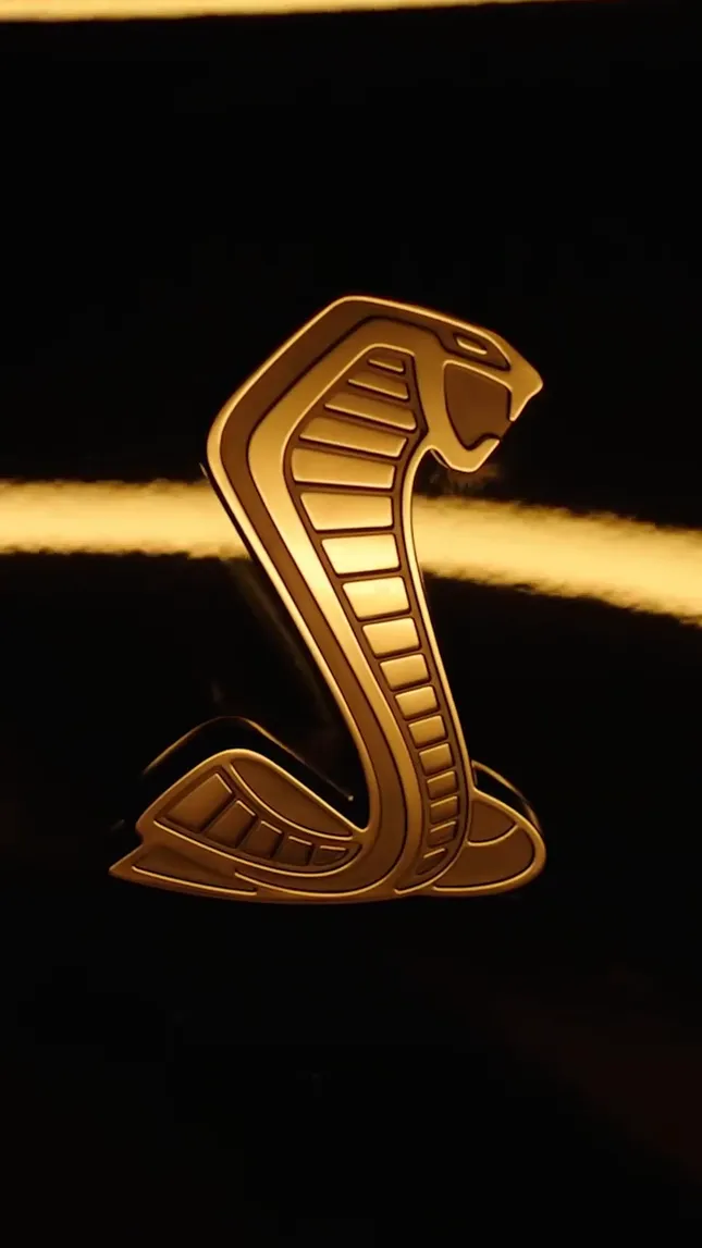 Hertz- “Shelby Mustang”