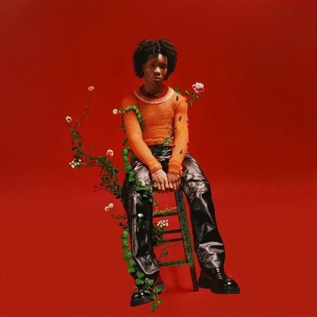 d4vd - Petals to Thorns (Album Cover Art)