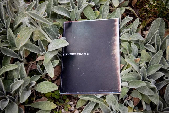 Feverdreams Magazine