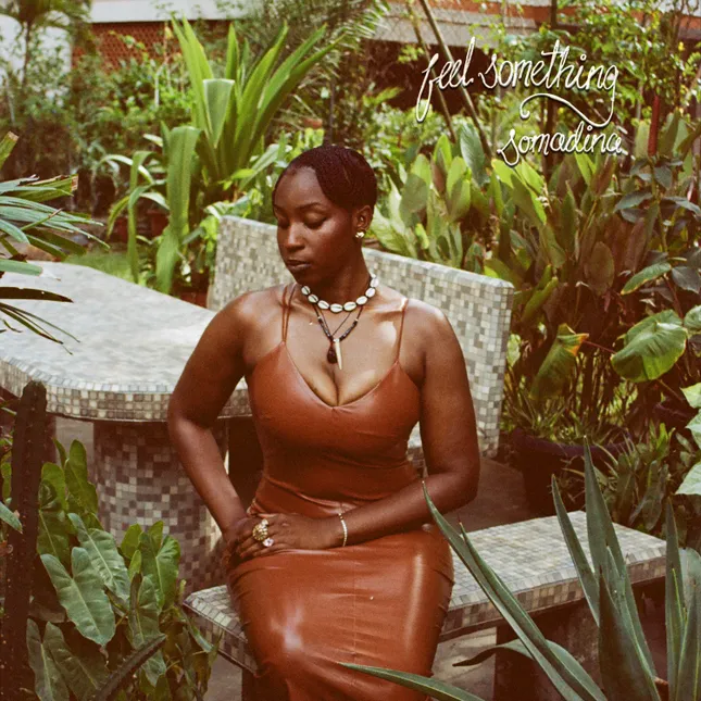 FEEL SOMETHING COVER ART - SOMADINA