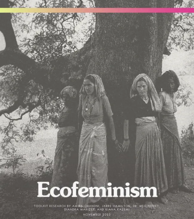 Ecofeminism Case Study + Toolkit, Intersectional Environmentalist