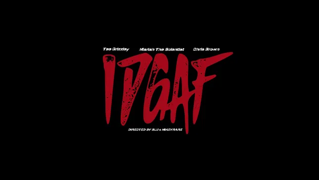 IDGAF - Tee Grizzley ft Chris Brown & Mariah The Scientist