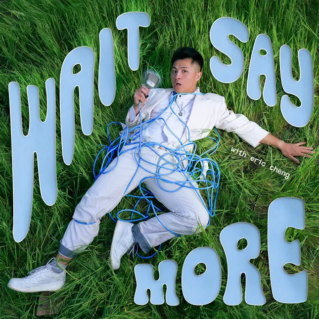 Wait, Say More Art