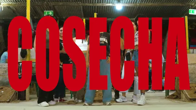 Cosecha - Satirik