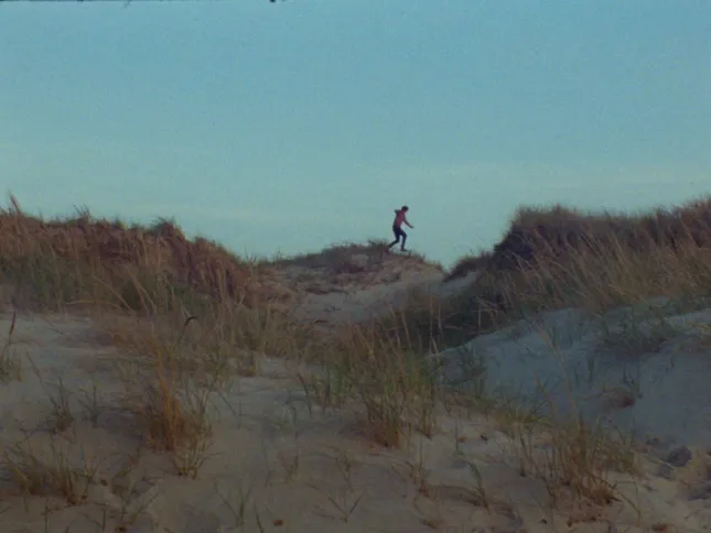 Fair Harbor | Commercial