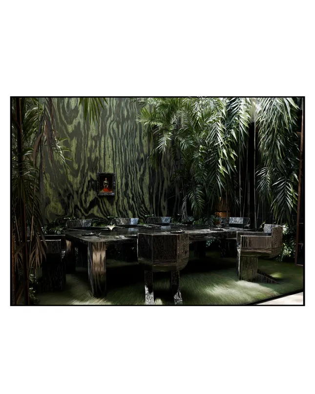 Project image