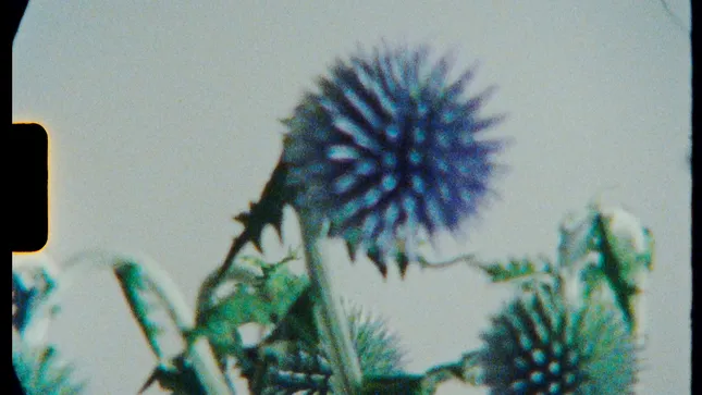 studio_8mm_[0:58]