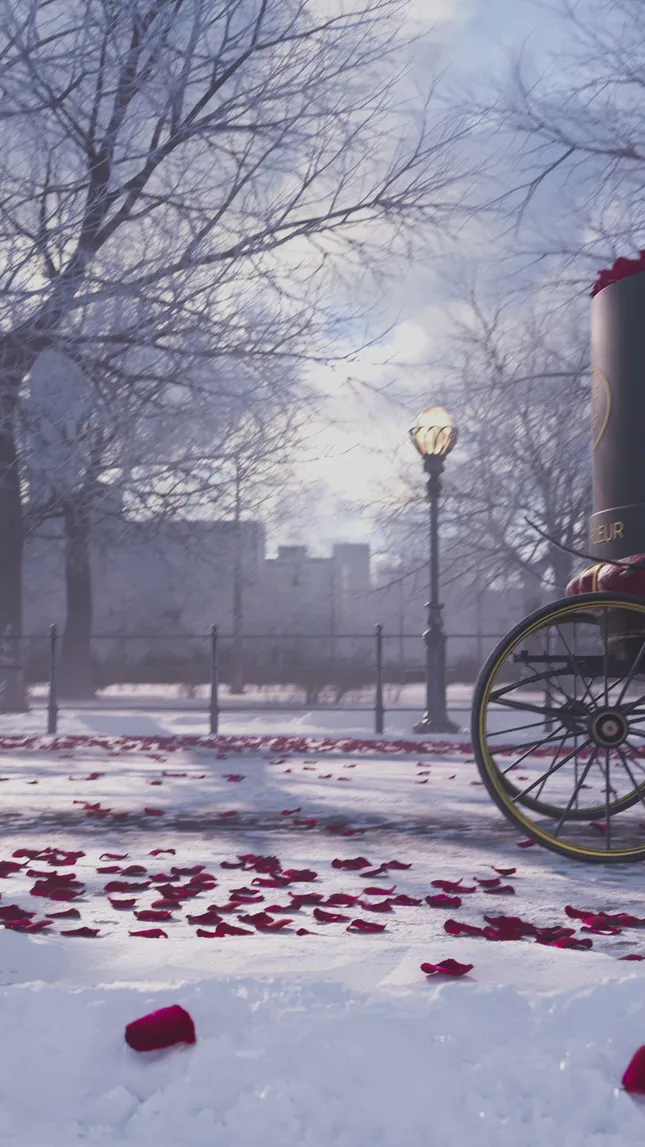 Valentines Day: Venus Et Fleur