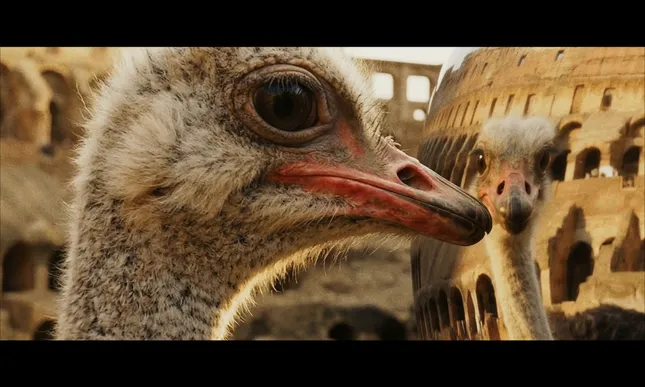 The Ostrych Odyssey - Trailer Angelo Accardi exhibition in Rome