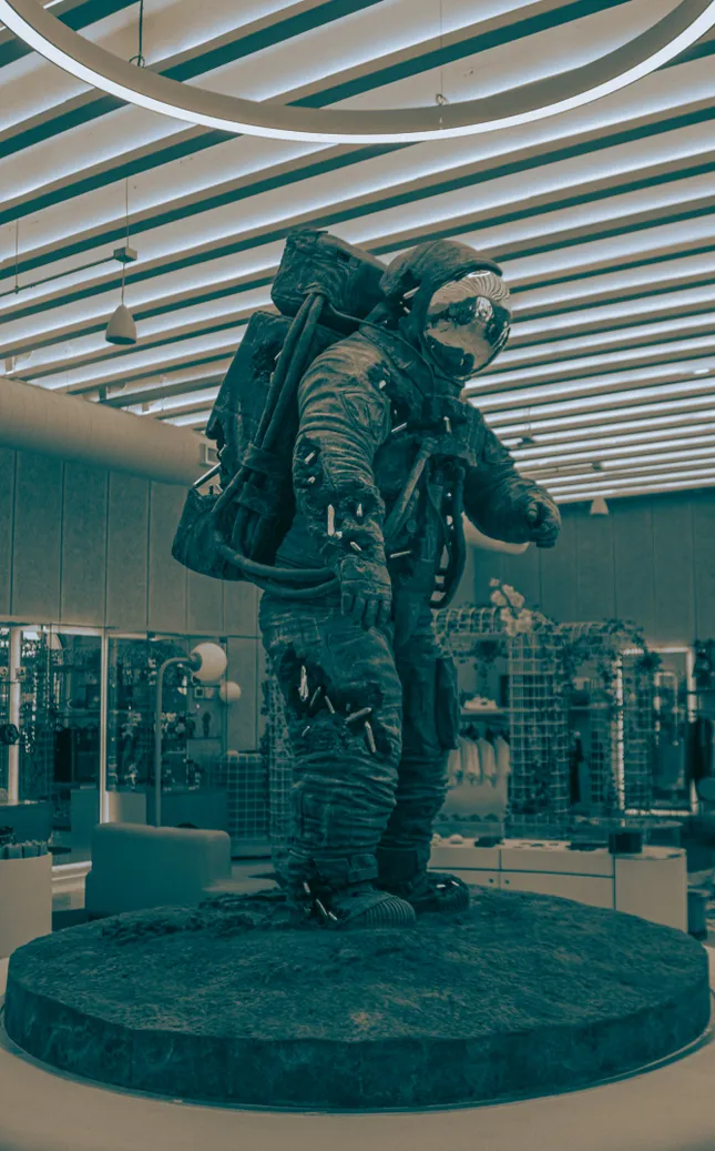 Project image
