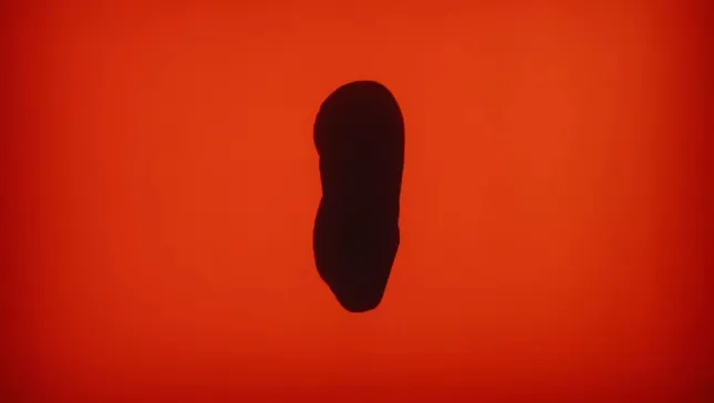 Nike Air Max Dn // Total Orange Black