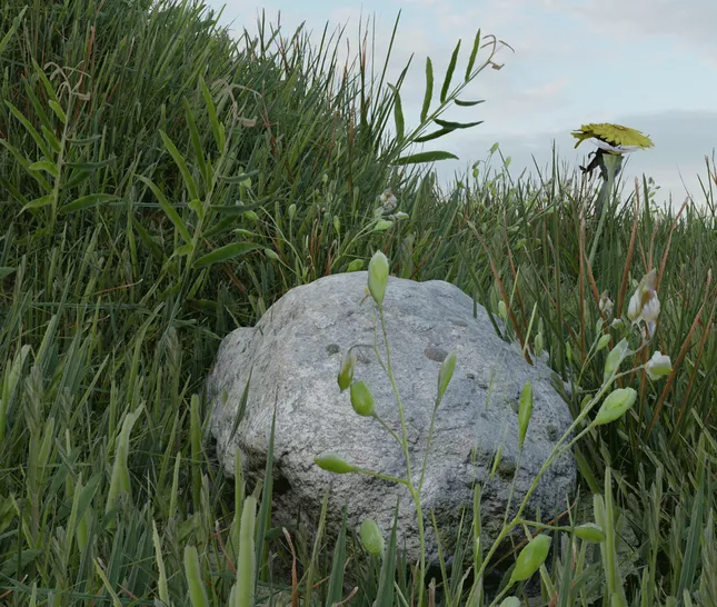 Project image