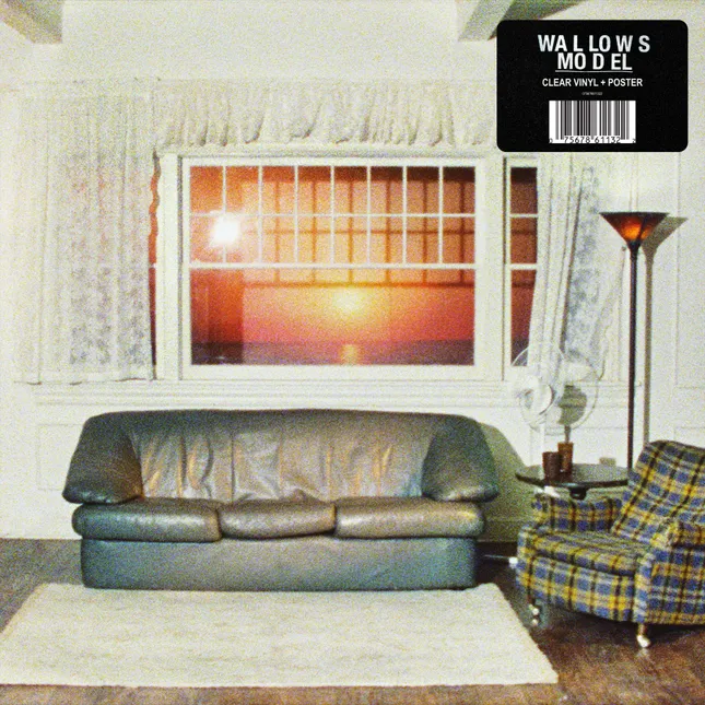 Wallows “Model” Album Package Design