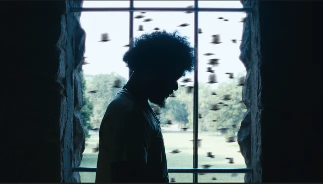 IFL Dave - Top Slayer (Directed by CJ Lenos)